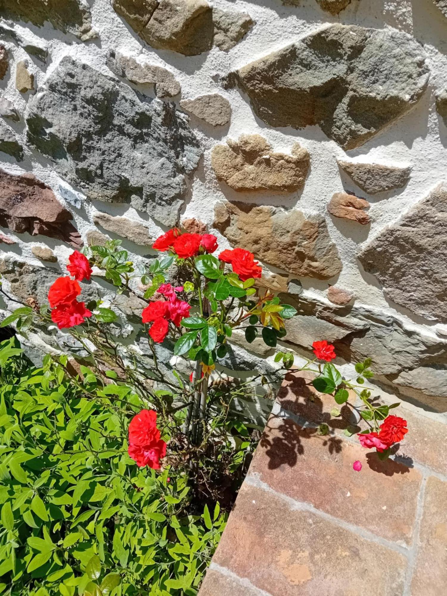 Casa Vacanze Raggio Di Sole Grotte  Екстериор снимка
